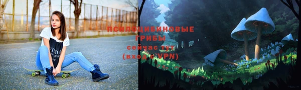 дживик Алексин