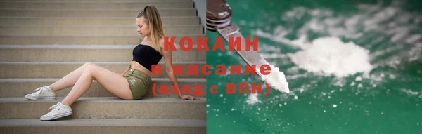 дживик Алексин