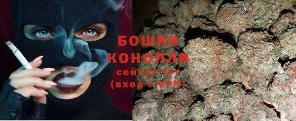 индика Нефтекумск