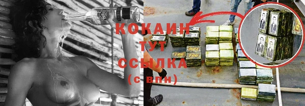 дживик Алексин