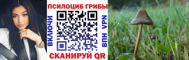 Псилоцибиновые грибы Psilocybine cubensis Мамоново