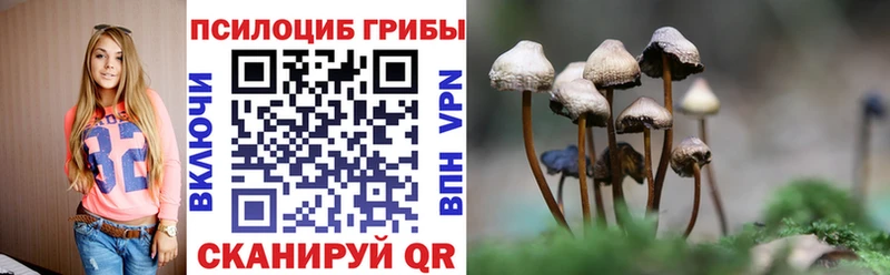 где можно купить наркотик  Мамоново  Галлюциногенные грибы MAGIC MUSHROOMS 